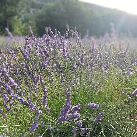 Superbe Au Cœur Luberon Proche Du Colorado Provencal Dans Résidence Au Calme Avec Piscine, Magnifique Vu Sur Le Luberon Depuis La Terrasse Viens